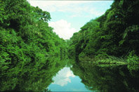 Conservación y desarrollo en el departamento Río San Juan